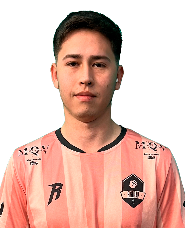 Diego Maurício Ribeiro Palivoda