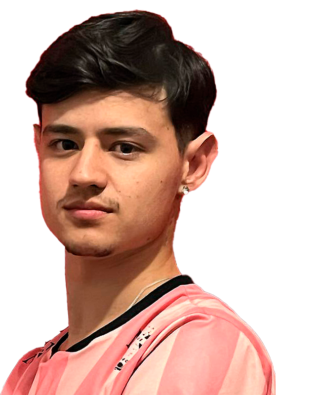 Pedro Henrique Dos Santos Bernardes